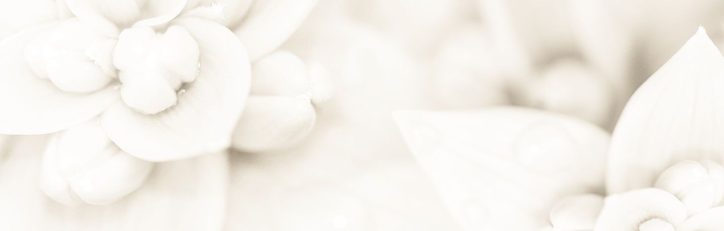 Celestial Scents